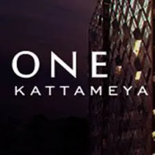 one katamya compound